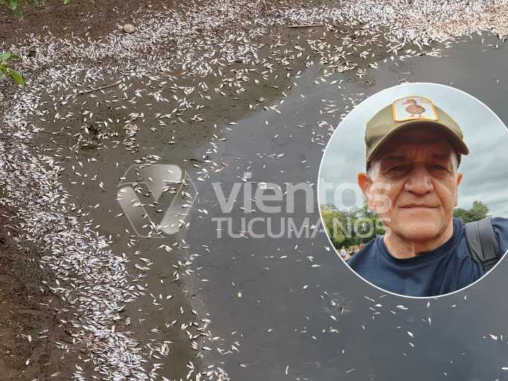 Arman diques ilegales: Grave denuncia por la mortandad masiva de peces en el sur tucumano