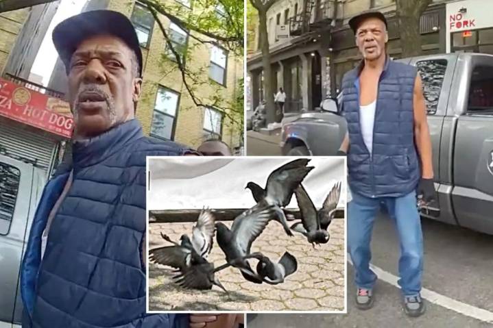 Exclusive | Pigeon poacher accused of kidnapping 'New Yorkers' to sell for shooting practice is free as a bird
