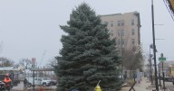 35-foot-tall Christmas tree arrives in downtown Rockford ahead of Stroll on State