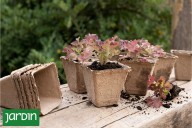 Cero plástico. Macetas, tutores y sustratos que podés cambiar para plantar sin contaminar