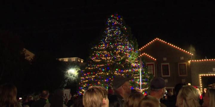 Columbia celebrates holiday season with Devine Street Christmas tree lighting