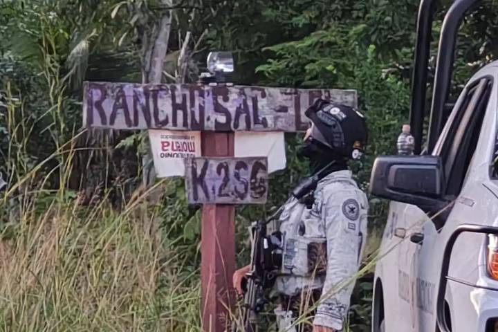 Localizan siete cuerpos en rancho utilizado por delincuentes en Puerto Morelos para ocultar sus crímenes