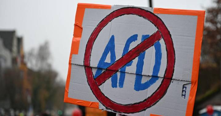 Miles se manifiestan mientras el partido de ultraderecha de Alemania crea nueva organización juvenil