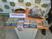 ¡Fox vuelve a destacar! Perro policía detecta 500 dosis de marihuana en Santa Marta