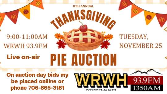 Pie Auction