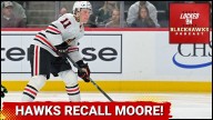 Chicago Blackhawks Call Up Top Prospect Oliver Moore From Rockford Ahead of Matchup With Kraken