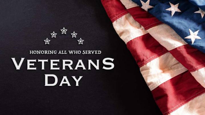 Veterans Day: Honoring the Few Who Served for the Many