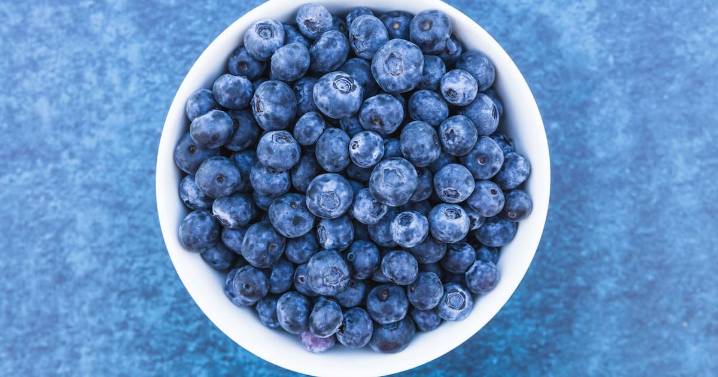 Estudio revela cómo los arándanos benefician a la memoria y mejoran la calidad del sueño