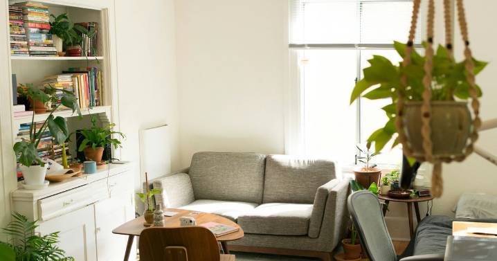 Un hogar más saludable: cómo detectar toxinas silenciosas