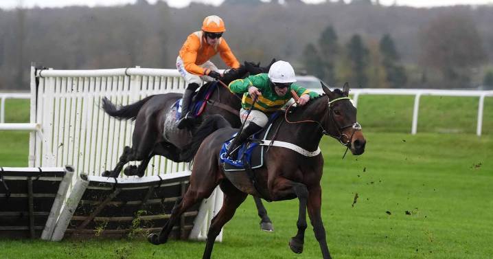 Newsboy's TV selections for Newbury and Southwell plus tips from Friday's other UK cards