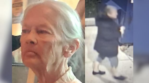 Toronto police searching for missing woman, 74