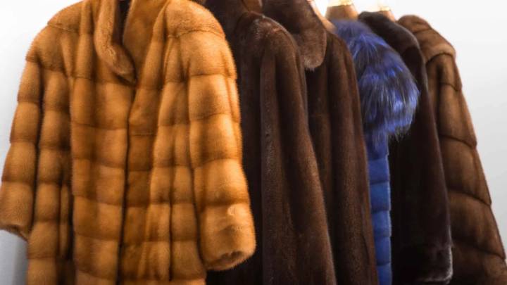 Los abrigos más estilosos para la llegada del frío en Zaragoza: de Mango a Primark