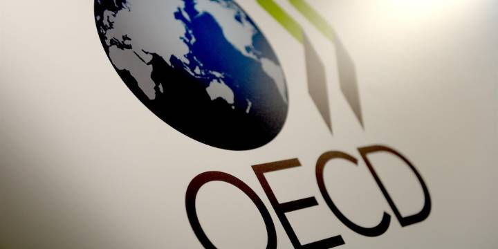 La OCDE advirtió que el “Plan Motosierra” de Milei podría poner en riesgo la industria