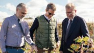 Giorgio Armani Group Presents First Apulia Regenerative Cotton Project Results