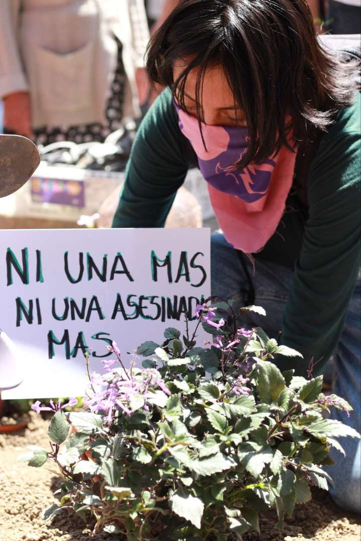 A dónde vamos a parar