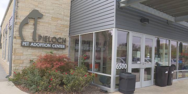 Capital Humane Society calls for donations as pet food supply demand grows