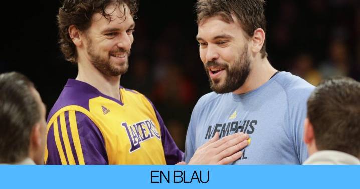 Pau y Marc Gasol, Fundación Gasol: "38 millones de niños menores de 5 años sufren sobrepeso"