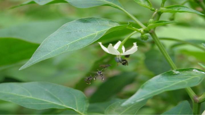 Should greener office spaces the future for Mumbai?