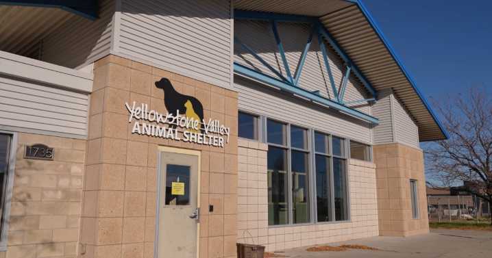 DEQ violations issued after toxic smoke incident at Billings shelter