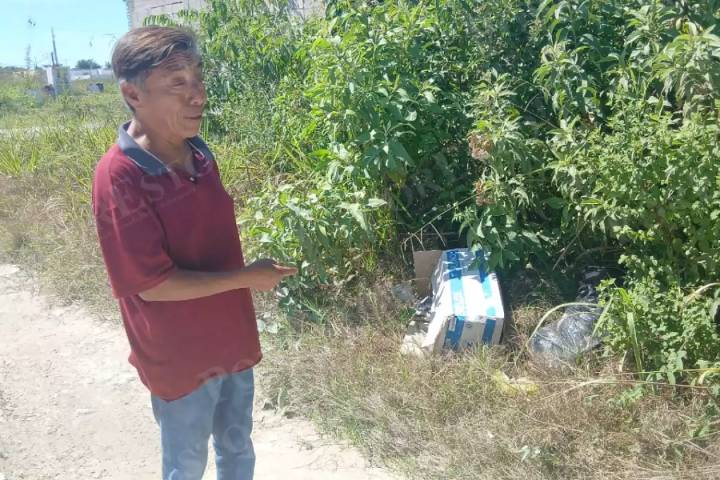 Vecinos de Escárcega denuncian basureros clandestinos y animales muertos en predios baldíos