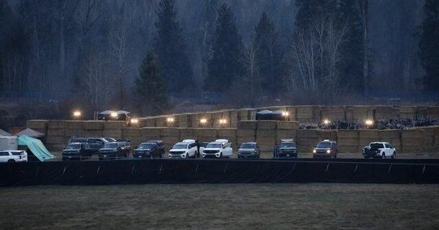 In the news today: Gunshots herald ostrich cull on B.C. farm