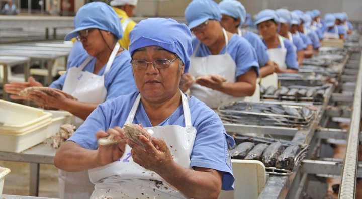 Confirmado | Estos trabajadores del Perú tendrán un pago extra para noviembre 2025: cuánto es y cómo cobrarlo