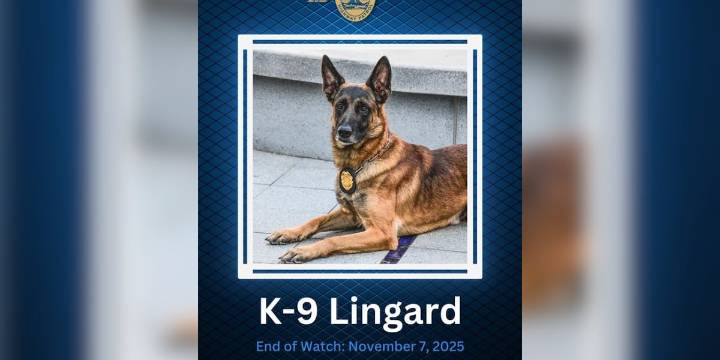 South Carolina Highway Patrol mourns loss of retired K