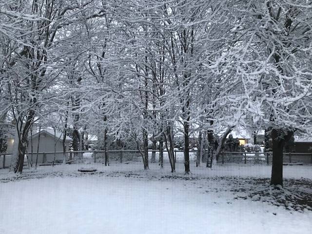 Gov. Mike Braun proclaims Nov. 9-15 as Winter Weather Preparedness Week