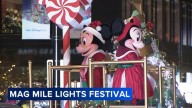 2025 Wintrust Magnificent Mile Lights Festival and Parade: Huge crowds pack Michigan Avenue in Chicago to kick off holiday season