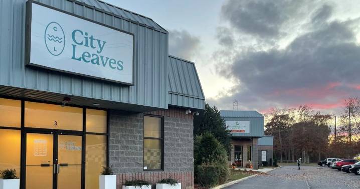 Egg Harbor Township to consider one-year freeze on cannabis applications