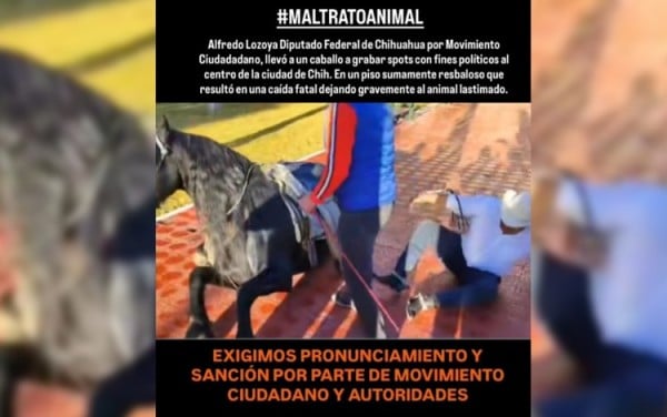 Video.- Denuncian al “Caballo“ Lozoya por maltrato animal