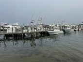 Martha Nolan-O’Slatarra case: Autopsy reveals fashion designer had cocaine in system