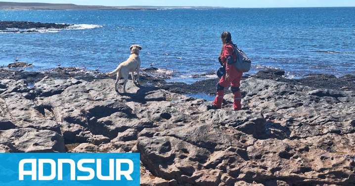 17:04 Sigue la búsqueda de Juana y Pedro: amplían los rastrillajes en Puerto Visser tras hallar objetos en la costa