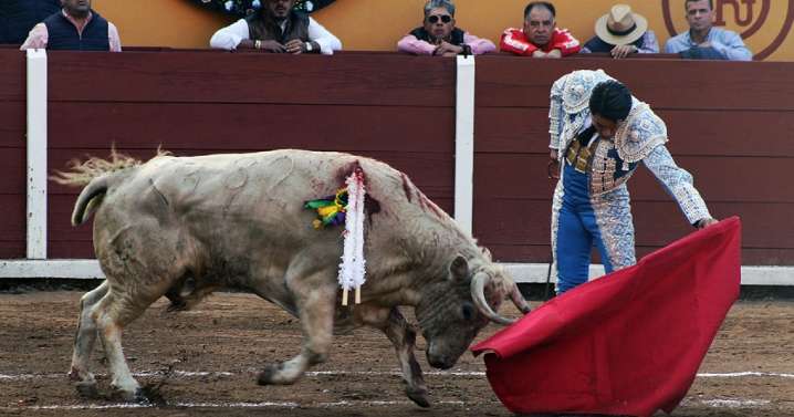 Un toro noble y sin casta permite a 'el Zapata' triunfar en la feria mexicana de Tlaxcala