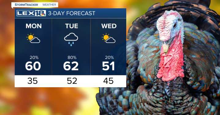 A foggy start to the Thanksgiving week