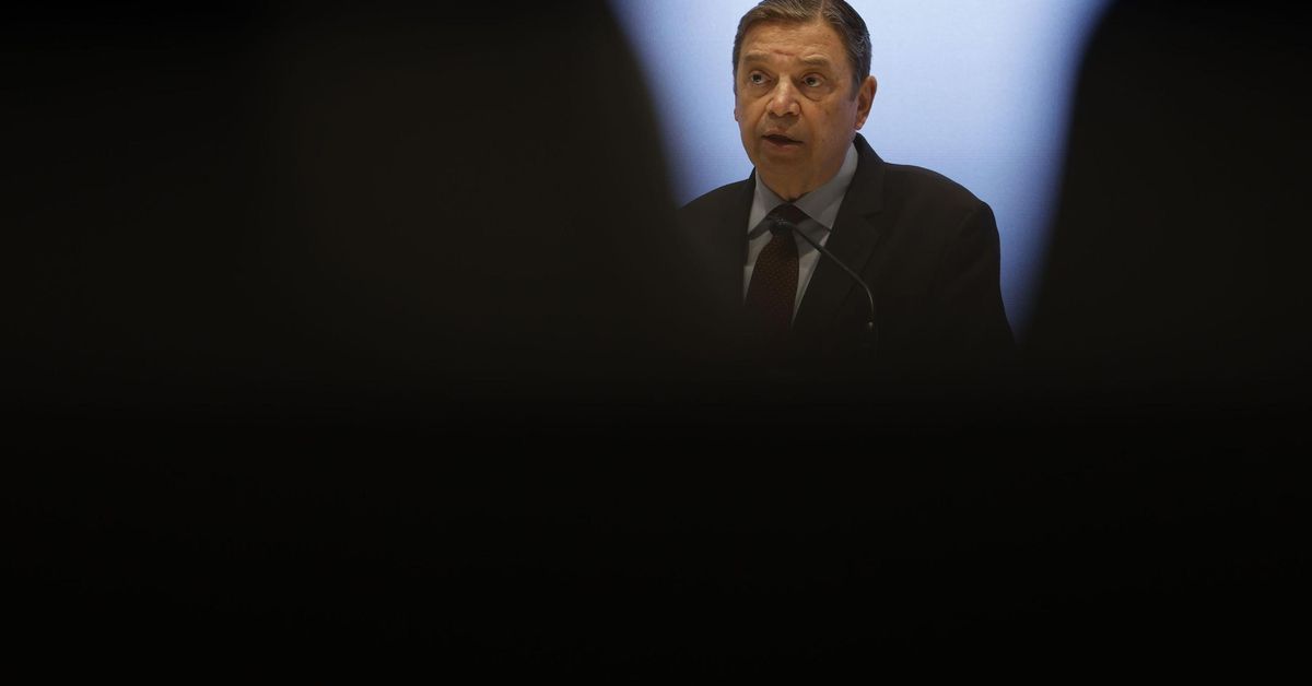 El Gobierno trabajará "al máximo" para limitar el impacto económico de la peste porcina