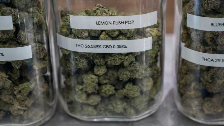 Shake-up may be ahead for Michigan's cannabis market