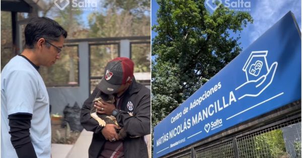 El refugio que tiene a tu nuevo mejor amigo: buscan familias para varios animalitos