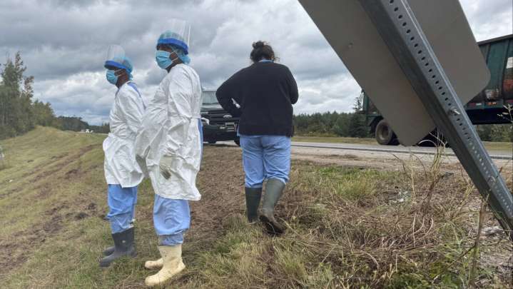 Monkey escape in Mississippi gives a glimpse into the secretive world of animal research