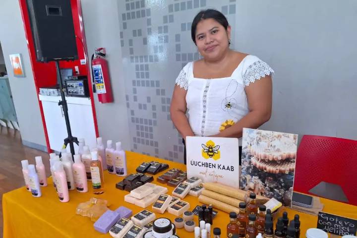 Promueven en Yucatán el registro de trabajadores independientes ante el IMSS