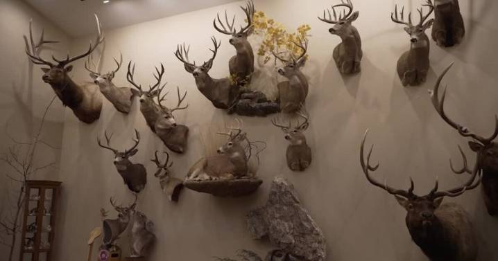 Artistry and attention to detail bring Montana hunting memories to life