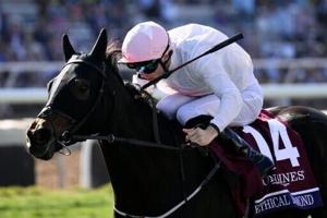 Ethical Diamond surges to upset win in $5 million Breeders’ Cup Turf