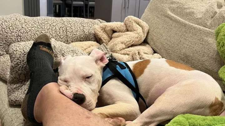 Driver Spots A Lonely Figure On Pennsylvania Highway And Finds More Than He Expected