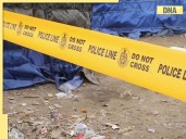 Telangana road accident: At least 16 dead, 8 injured in truck