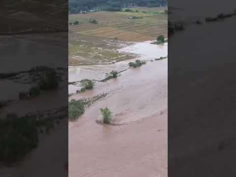 Super Typhoon Fung-Wong Causes Raging Rivers and Flooded Fields in Philippines #shorts