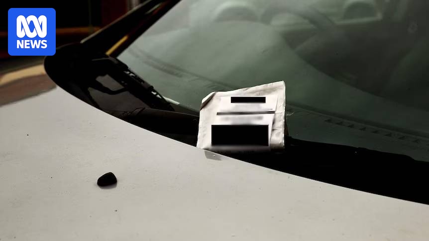South Australian woman wins four-year court battle over $104 parking fine