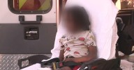 Child injured in Fort Lauderdale dog attack