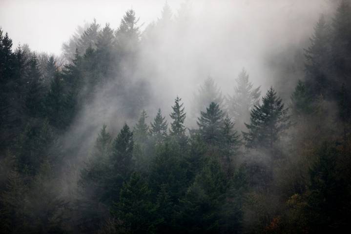 These are the 25 coldest November days on record in Portland