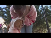 Atlanta community raises $15K, reunites dog with owner after months of homelessness