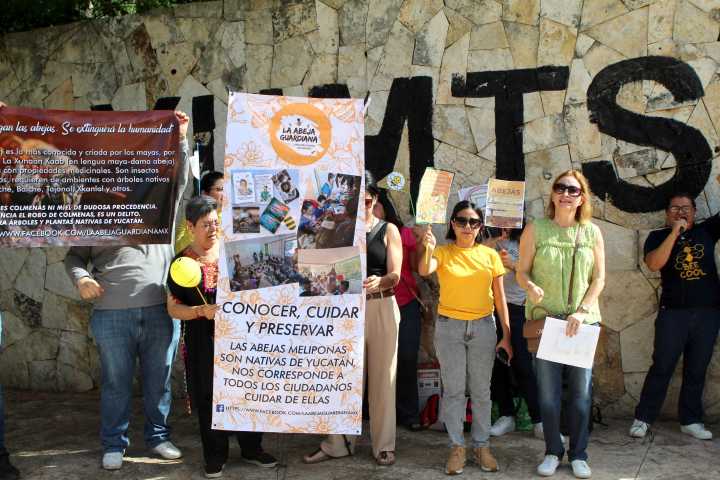 Exigen devolución de colmenas meliponas robadas del parque Yumitsil